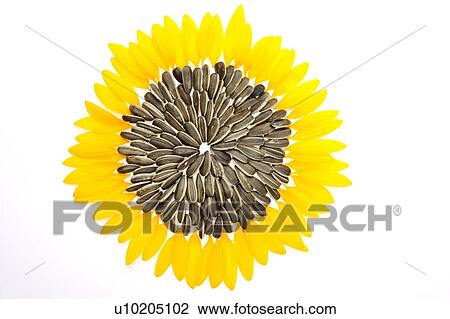 Day, digital View Large Photo Image Stock Image - Day, digital. Fotosearch