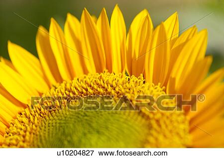 Stock Photo - Day, digital. Fotosearch