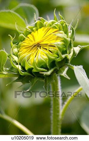Day, digital View Large Photo Image Stock Photo - Day, digital. Fotosearch
