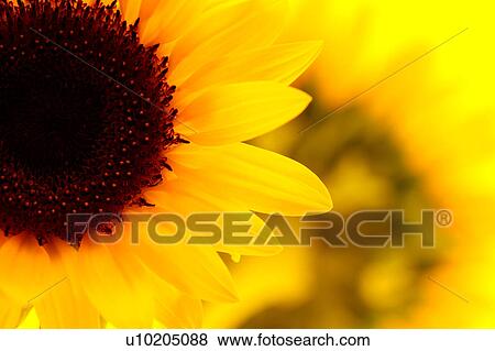 Stock Photo - Day, digital. Fotosearch