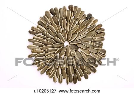 Stock Photo - Day, digital. Fotosearch