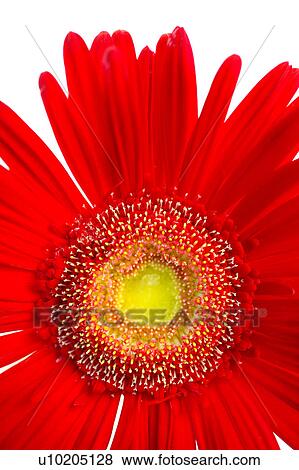 Day, digital View Large Photo Image Stock Photo - Day, digital. Fotosearch
