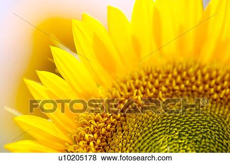 Stock Photo - Day, digital. Fotosearch