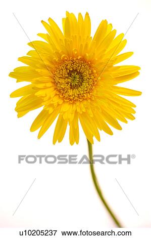 Day, digital View Large Photo Image Stock Photo - Day, digital. Fotosearch