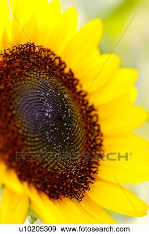 Stock Photo - Day, digital. Fotosearch