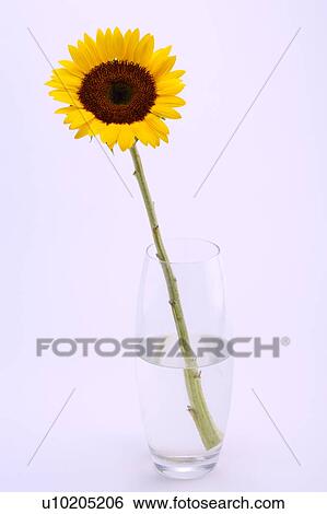 Day, digital View Large Photo Image Stock Photograph - Day, digital. Fotosearch