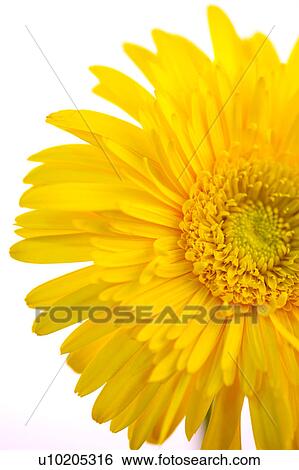 Stock Photograph - Day, digital. Fotosearch