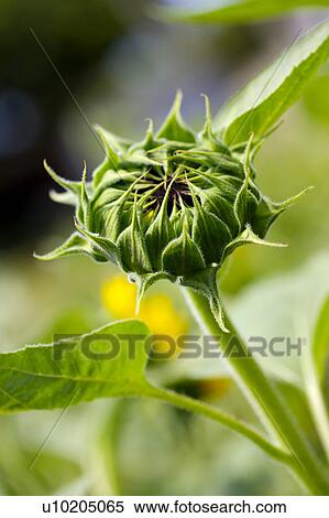 Day, digital View Large Photo Image Stock Photography - Day, digital. Fotosearch