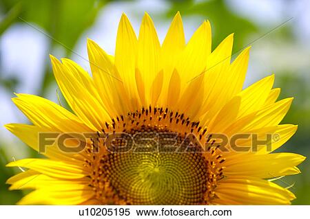 Stock Photography - Day, digital. Fotosearch