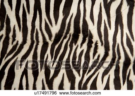 Stock Photograph - Artificial leather, close-up. Fotosearch