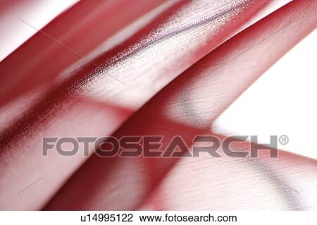 Sheer red fabric View Large Photo Image Stock Image - Sheer red fabric. Fotosearch