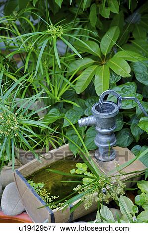 Stock Photo - Corner of garden with plants. Fotosearch