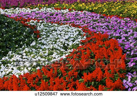 Stock Photo - Flower beds in a garden . Fotosearch
