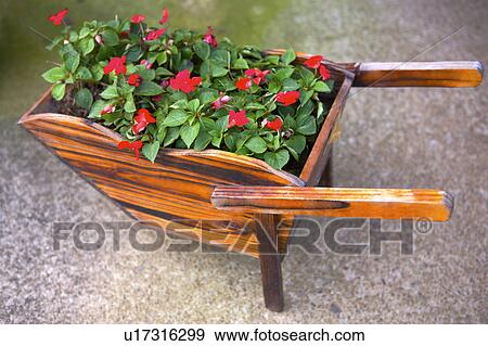 Flowers in pot, high angle view View Large Photo Image Stock Photo - Flowers in pot, high angle view. Fotosearch