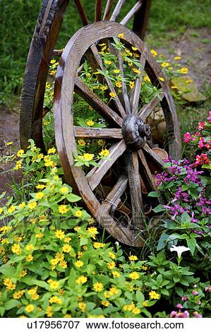 Stock Photo - Garden with wheels, close-up. Fotosearch