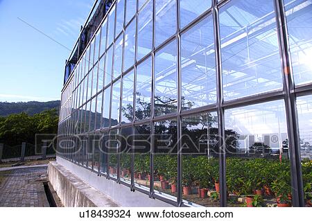 Picture - Greenhouse exterior . Fotosearch