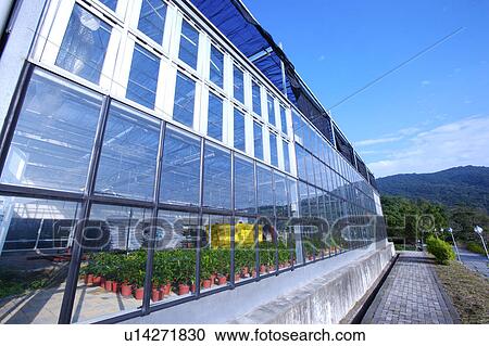 Greenhouse exterior View Large Photo Image Stock Image - Greenhouse exterior . Fotosearch