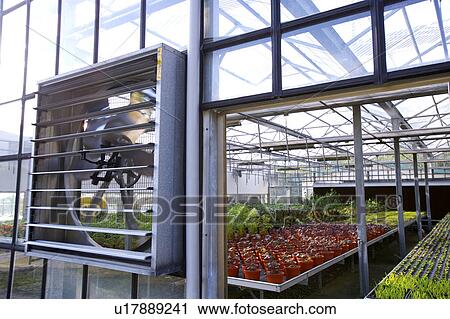 Stock Image - Greenhouse, view from outside. Fotosearch