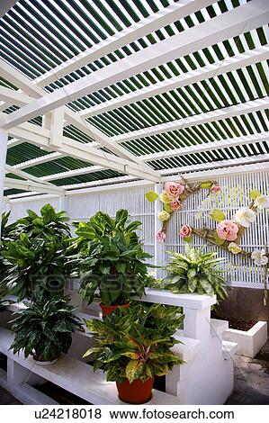 Stock Photo - Plants in greenhouse. Fotosearch