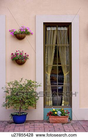 Stock Photo - Potted plants by a window with curtains. Fotosearch