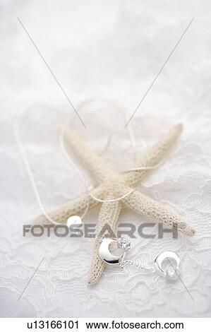 Stock Image - Dehydrated Starfish along with a wind around silver chain. Fotosearch