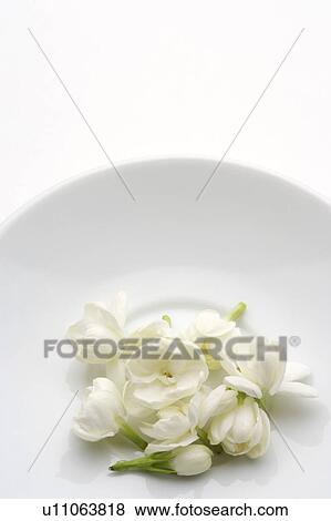 Stock Photo - Dry flowers on a plate. Fotosearch
