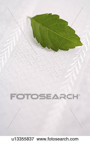 Stock Photo - Leaf on towel. Fotosearch