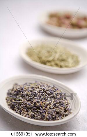 Plates of dry flowers, in a row View Large Photo Image Stock Image - Plates of dry flowers, in a row. Fotosearch