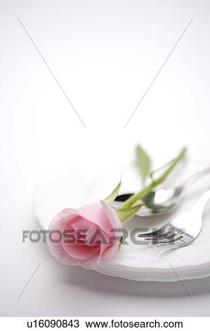Rose on table setting View Large Photo Image Stock Image - Rose on table setting. Fotosearch
