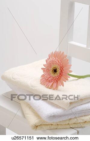 Stock Image - Sunflower on a pile of towels. Fotosearch