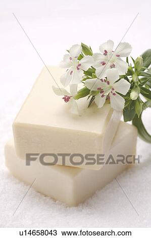 Two bars of soap View Large Photo Image Stock Image - Two bars of soap. Fotosearch