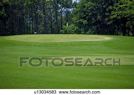 Flag in golf course View Large Photo Image Stock Image - Flag in golf course. Fotosearch