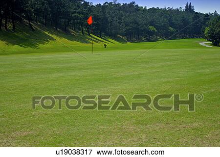 Flag in golf course View Large Photo Image Stock Photo - Flag in golf course . Fotosearch