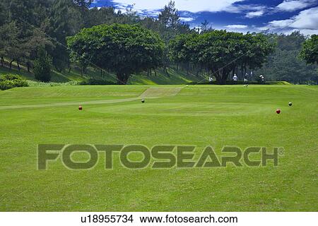 Picture - Golf course landscape . Fotosearch