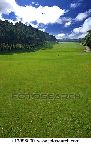 Stock Image - Green in golf course. Fotosearch