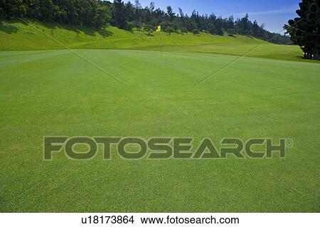 Putting green in golf course View Large Photo Image Picture - Putting green in golf course. Fotosearch