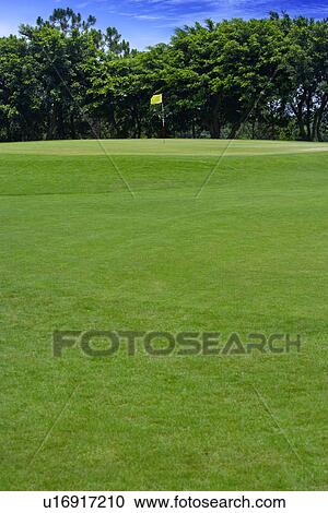 Putting green View Large Photo Image Stock Image - Putting green. Fotosearch
