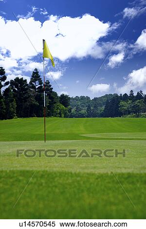 Yellow flag in golf course View Large Photo Image Stock Photography - Yellow flag in golf course. Fotosearch