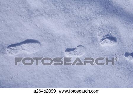 Close-up of feetprint in snow, horizontal View Large Photo Image Stock Photo - Close-up of feetprint in snow, horizontal. Fotosearch