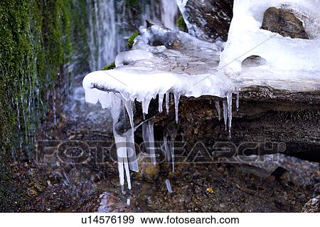 Stock Photo - Close-up of ice-cream brick? icicle and moss. Fotosearch