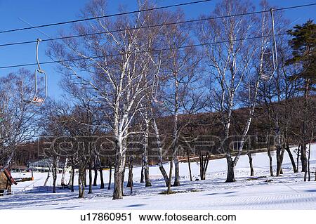 Close-up of overhead cable cars in ski resort View Large Photo Image Stock Image - Close-up of overhead cable cars in ski resort. Fotosearch