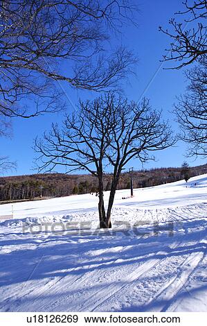 Stock Photo - Close-up of part of ski resort. Fotosearch