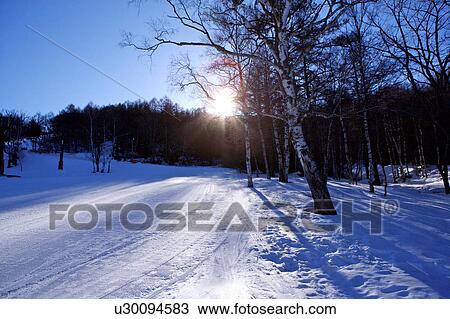 Close-up of ski resort in sunlight, in Japan View Large Photo Image Stock Image - Close-up of ski resort in sunlight, in Japan. Fotosearch