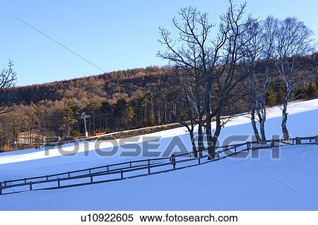 Stock Photography - Close-up of snow scenery. Fotosearch