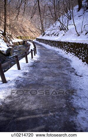 Stock Image - Close-up of the way forward with treelined. Fotosearch