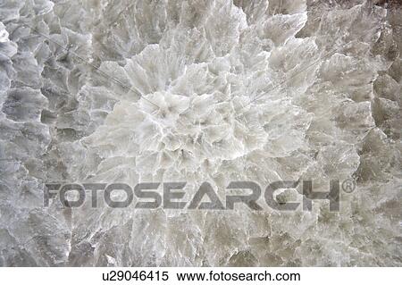 Flower-shape White Marble View Large Photo Image Stock Photography - Flower-shape White Marble. Fotosearch