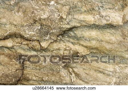 Stock Photography - Gay Marble. Fotosearch