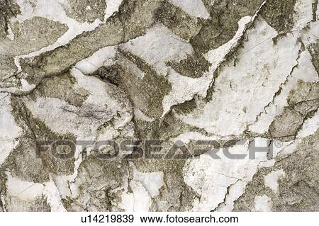 Stock Photo - Gray and White Marble. Fotosearch