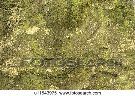 Green Stone View Large Photo Image Stock Photography - Green Stone. Fotosearch