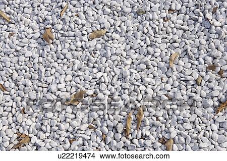 Picture - pebble. Fotosearch